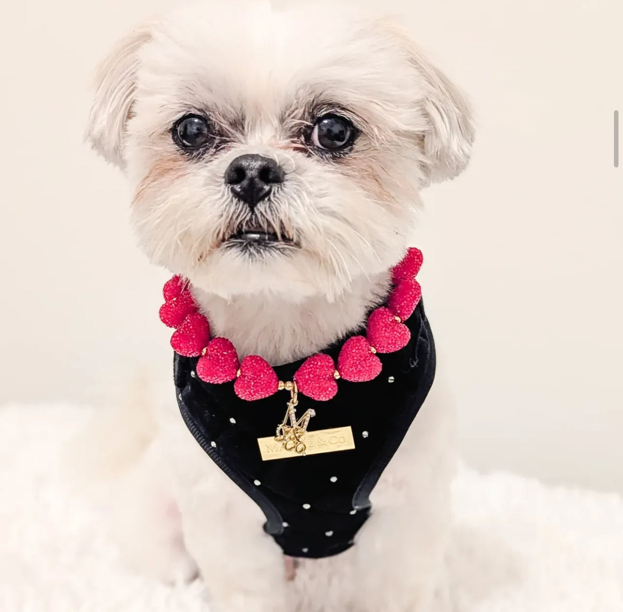 Signature Romance: Scarlet Heart Necklace