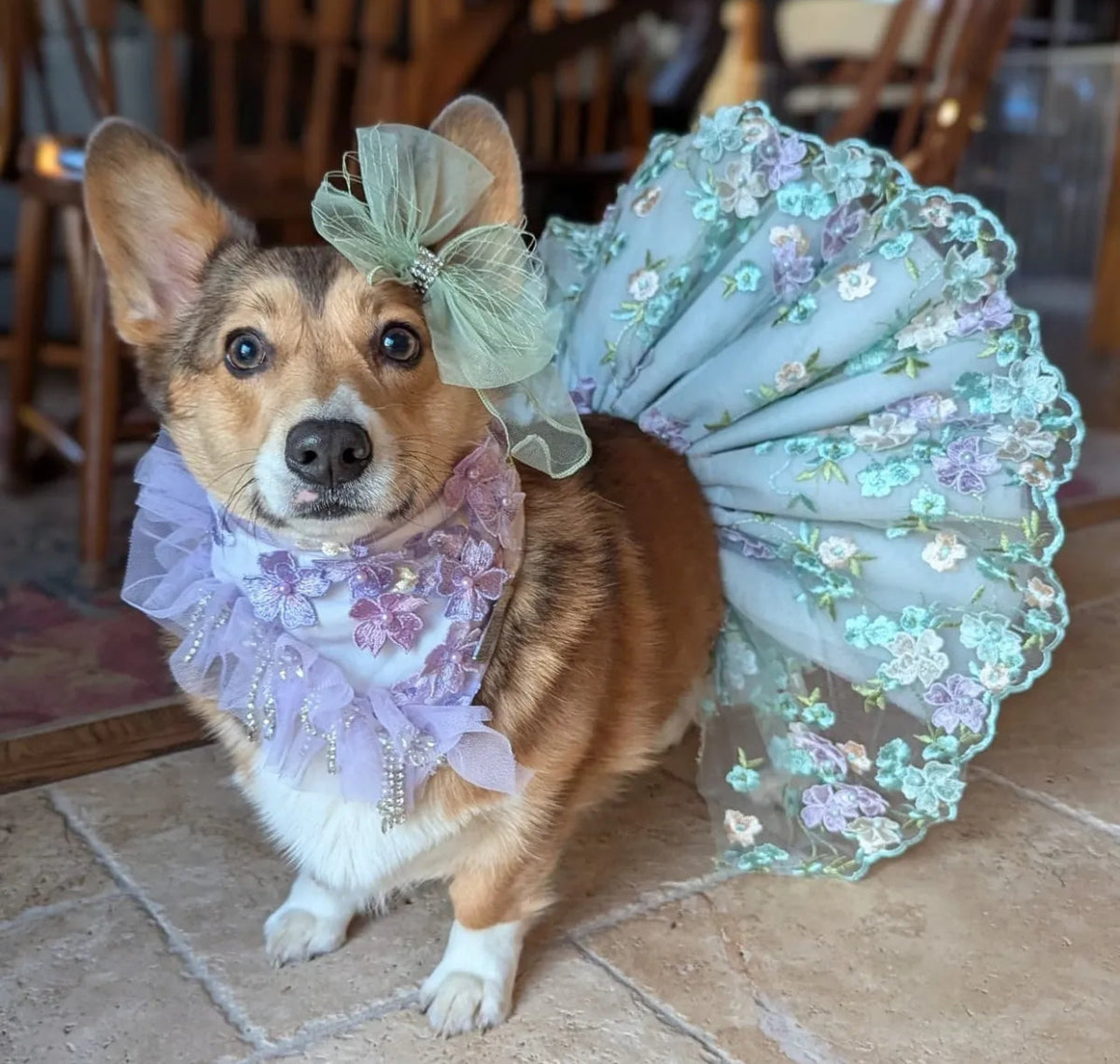 Formal Affair: Shades of Lavender