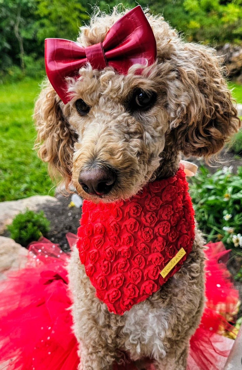 Forever Bliss: Scarlet
