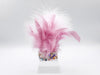 Fairytale Feathers: The Aurora Crown
