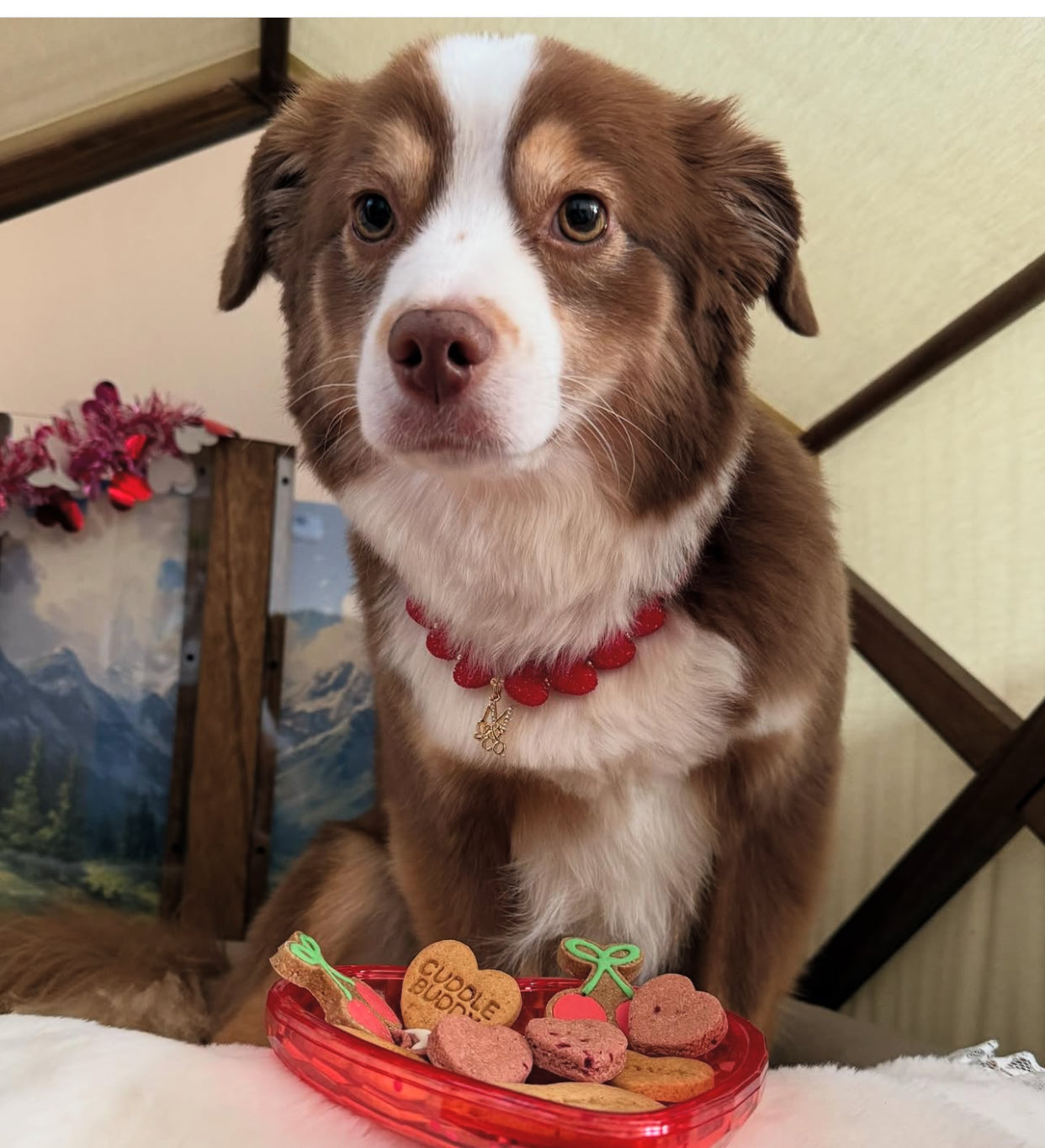 Signature Romance: Scarlet Heart Necklace