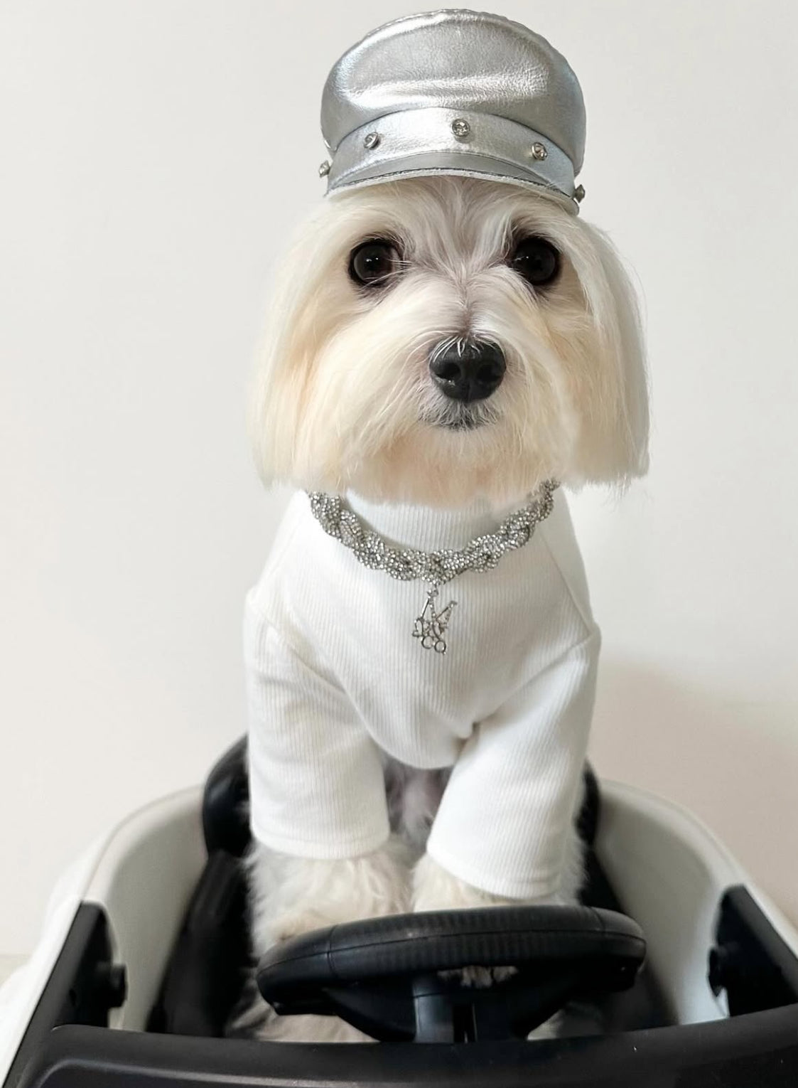 The Supermodel Necklace