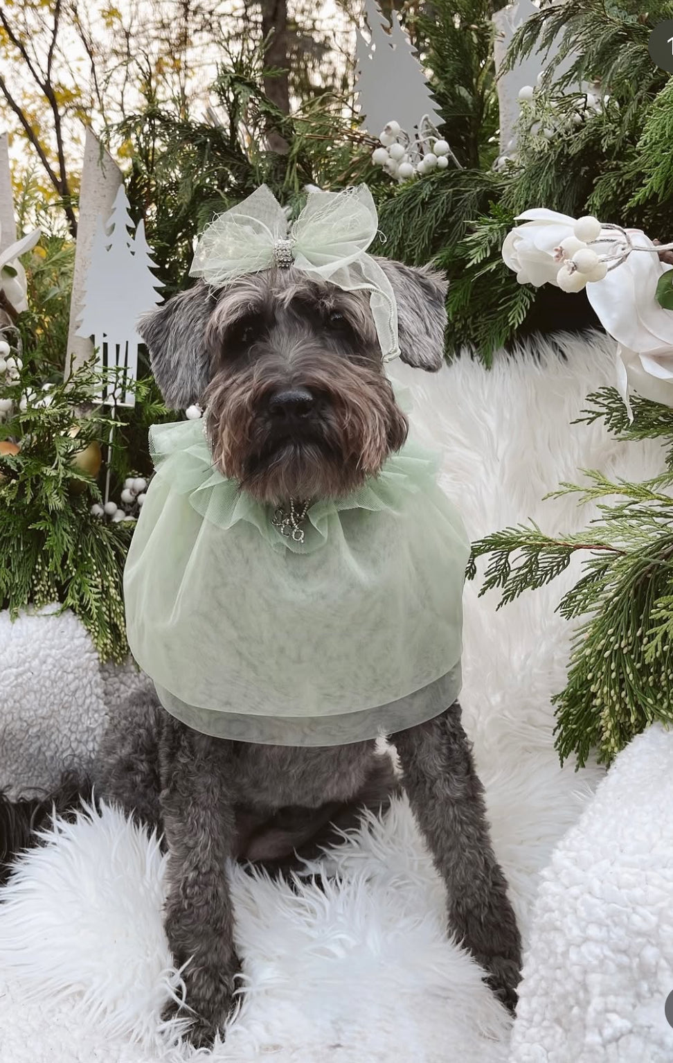 Royal Birthday: Sandringham