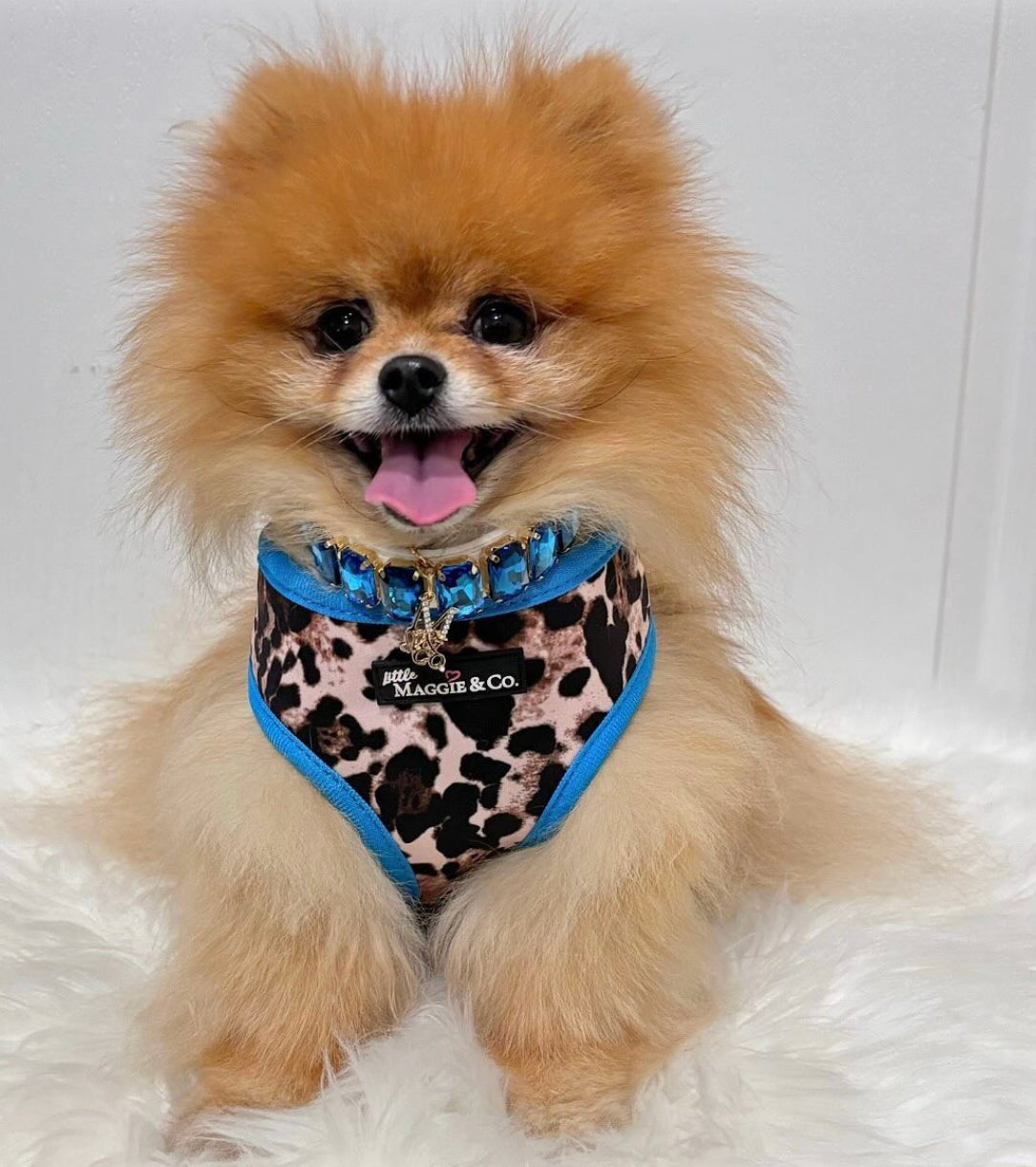 Exotic Reversible Harness