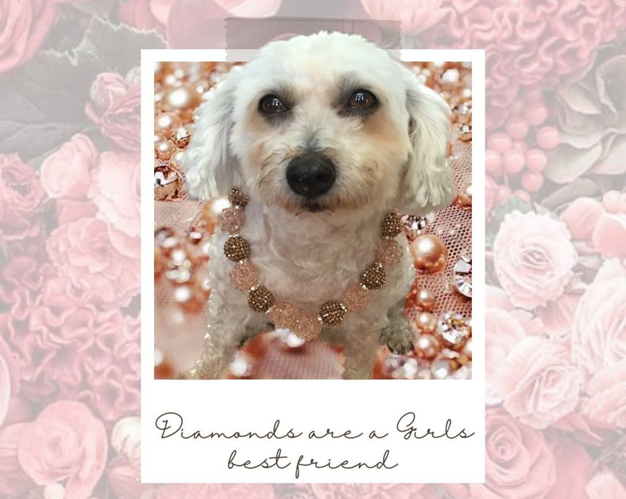 Necklace: Ella