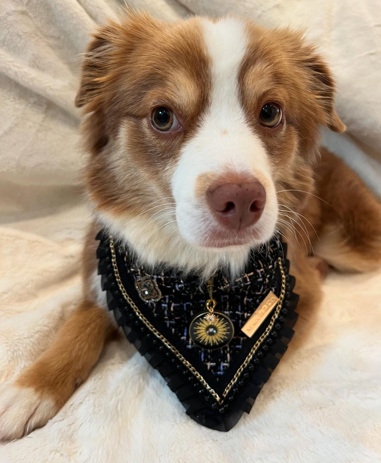 Special Edition: The Lincoln