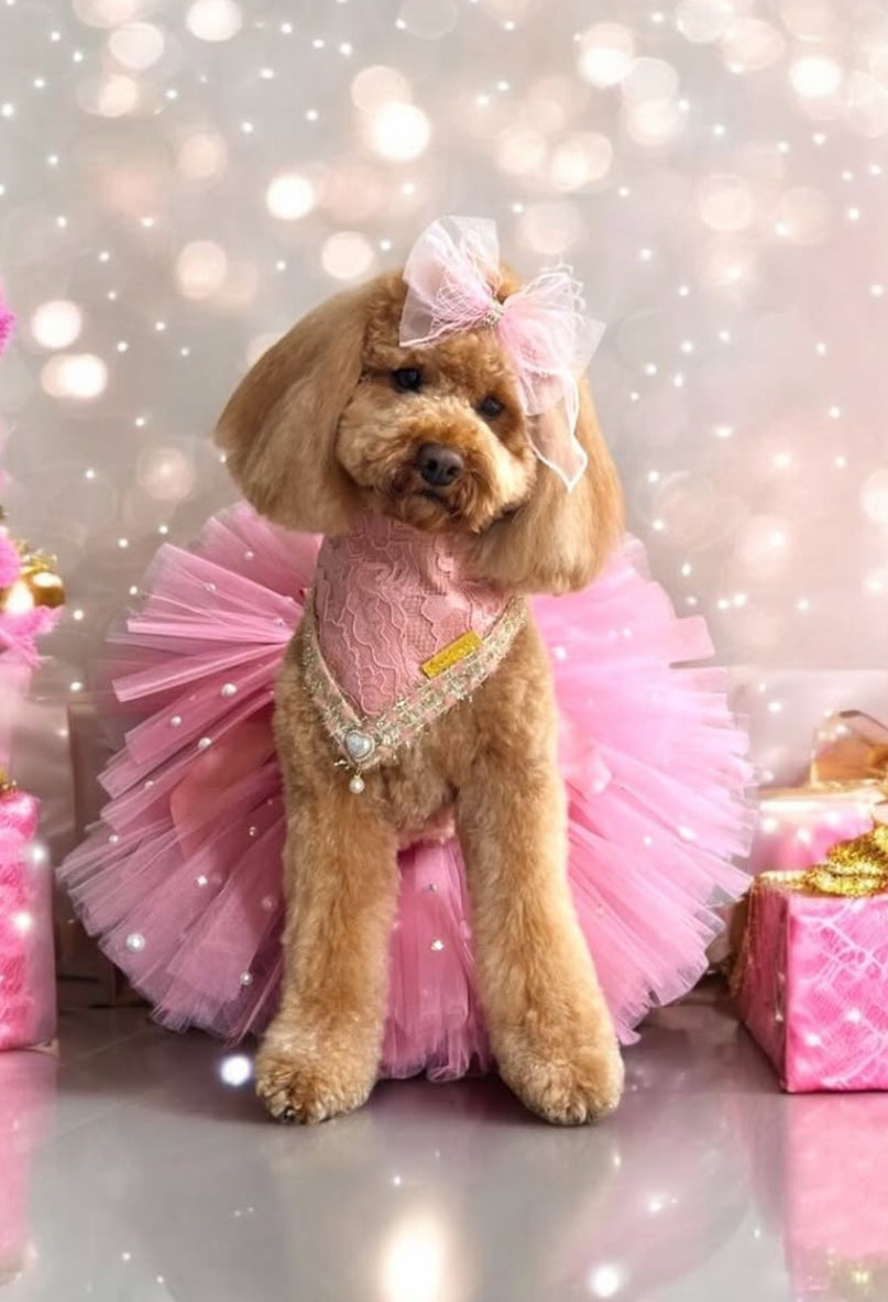 Romance Collection: The Minnie