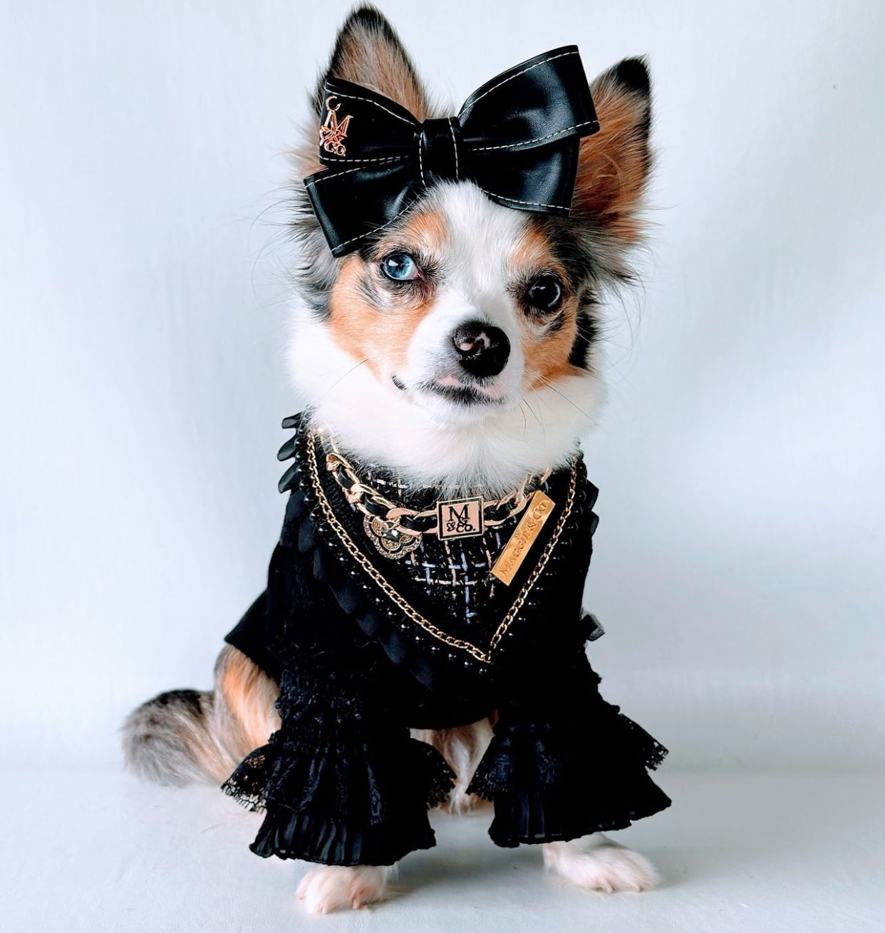 Special Edition: The Lincoln