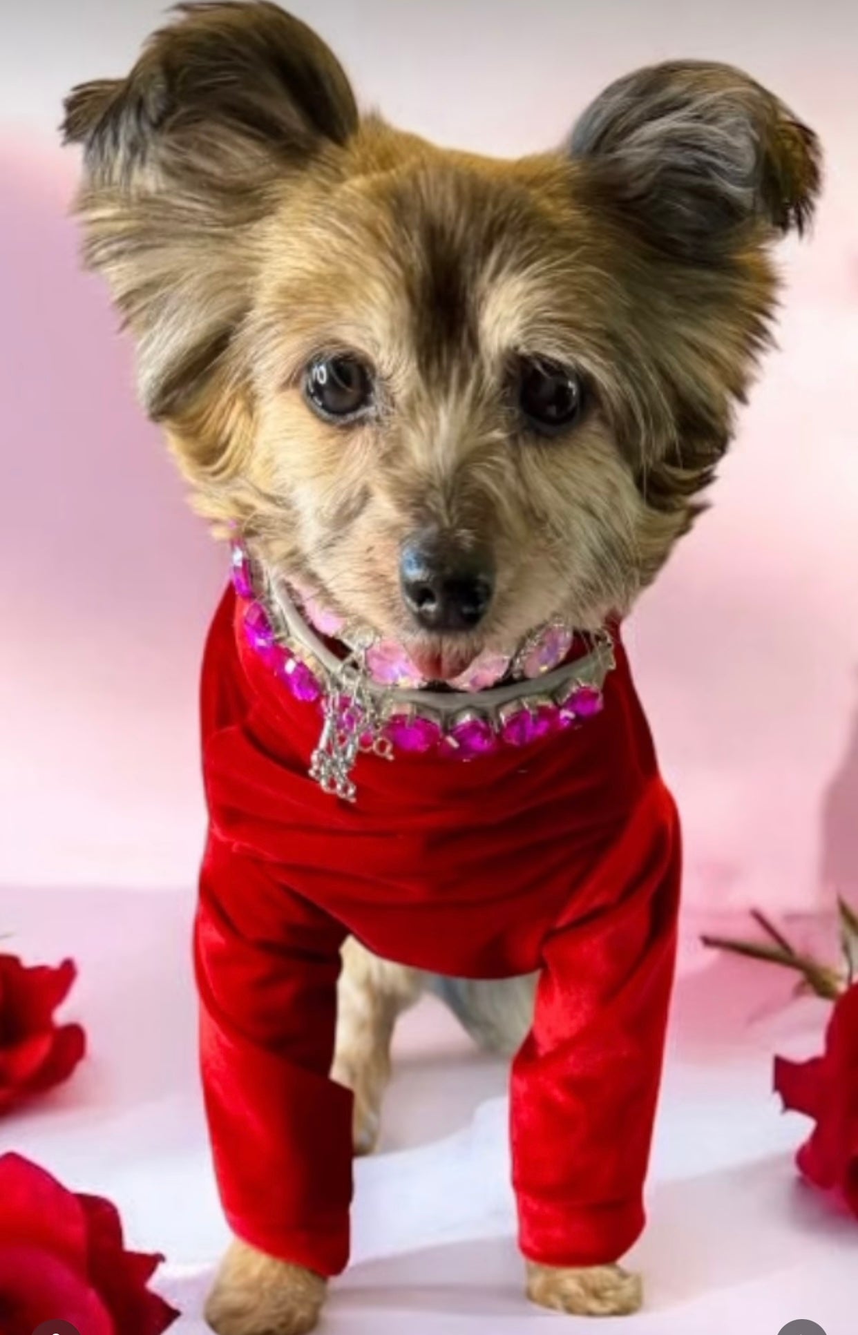 Gem Necklace: Barbie