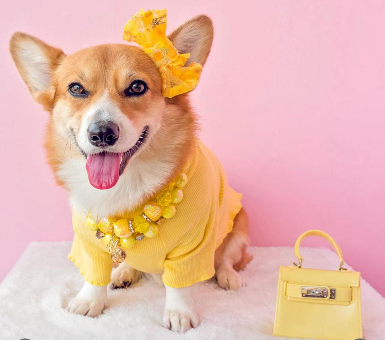 Celebrations II: The Roxy Bow