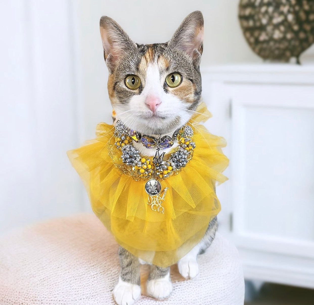 Holiday: All That Glitters Is Gold