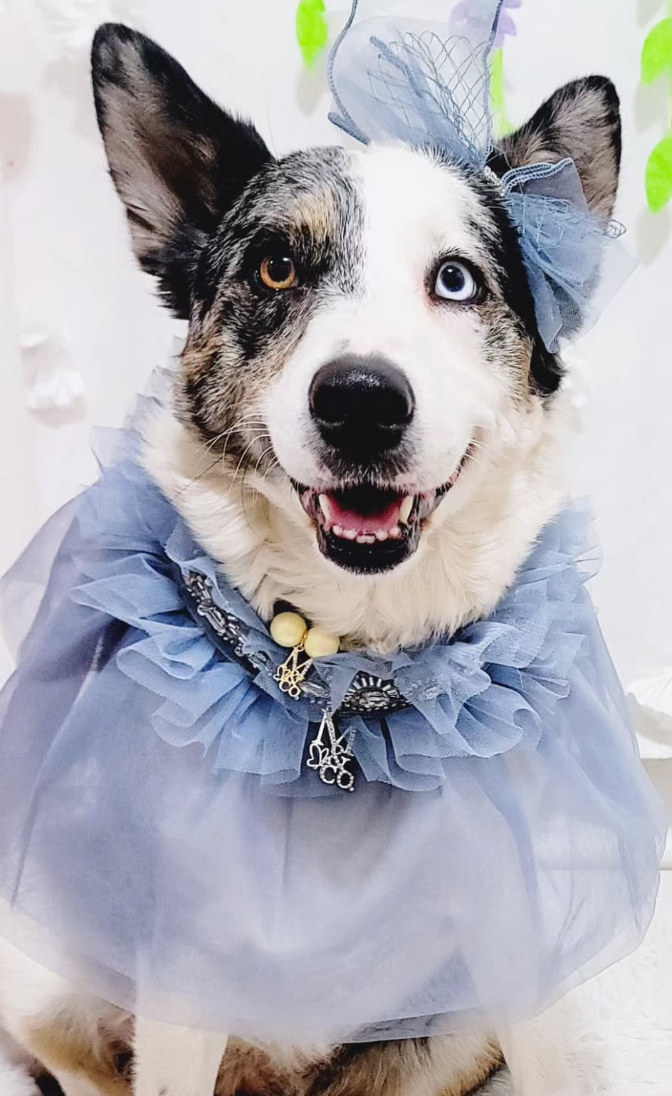 Whimsical Wedding: Frozen