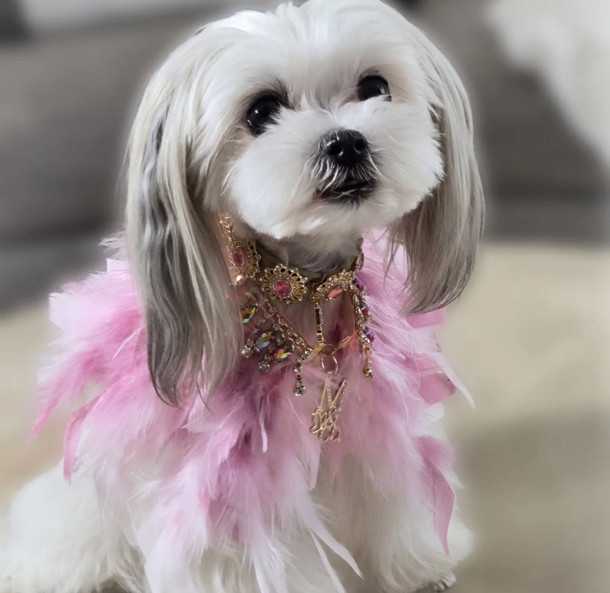 Fairytale Feathers: The Aurora