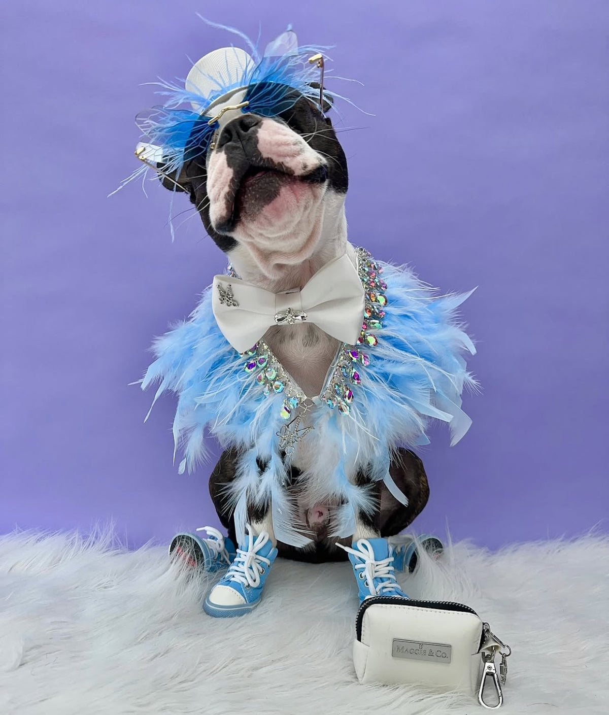 Fairytale Feathers: The Cinderella