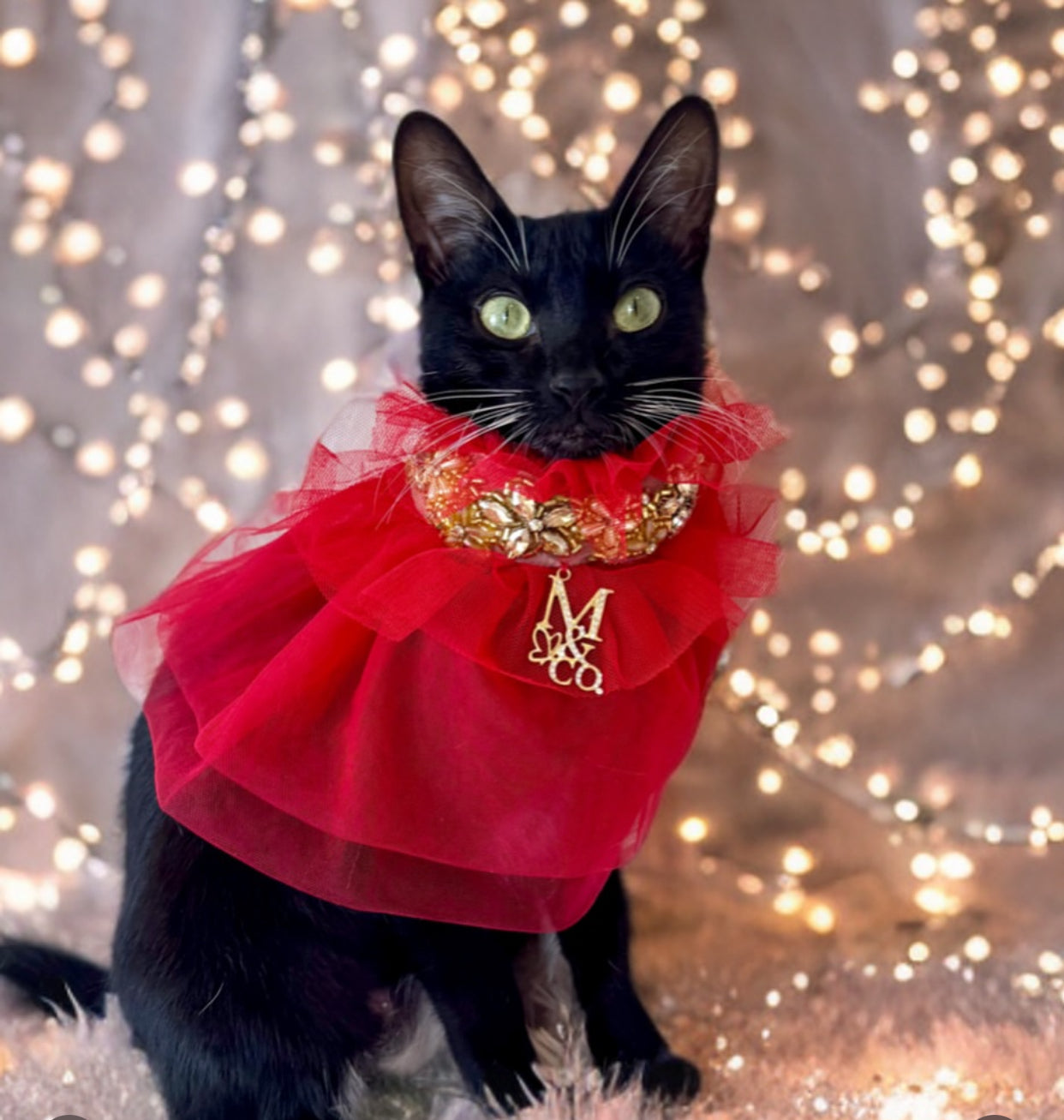 Royal Birthday: My Love