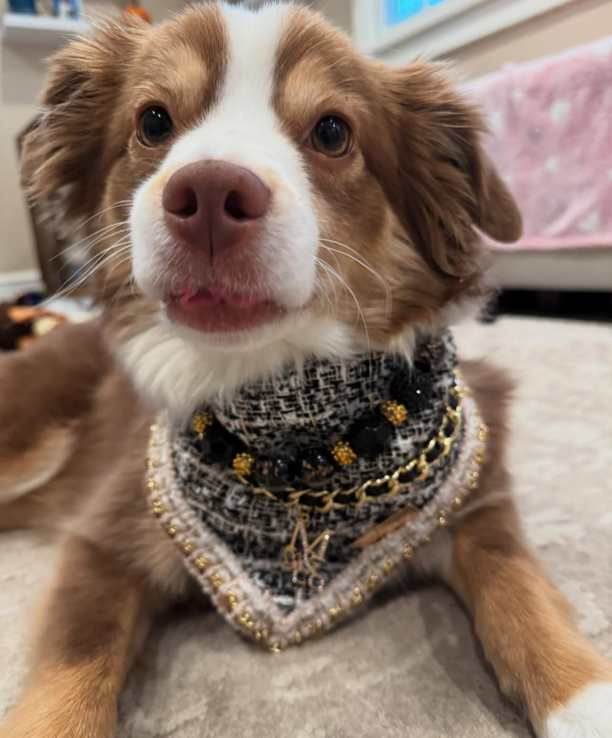 Necklace: Hammy & Brody