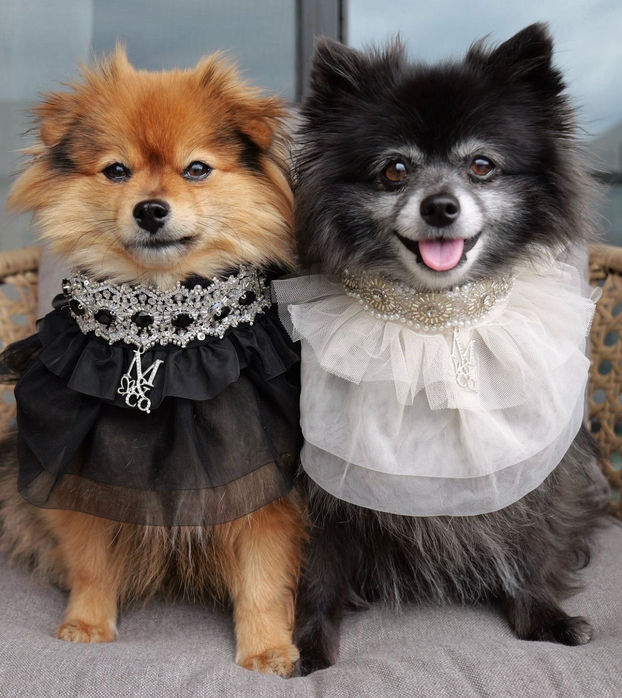 Whimsical Wedding: White Swan