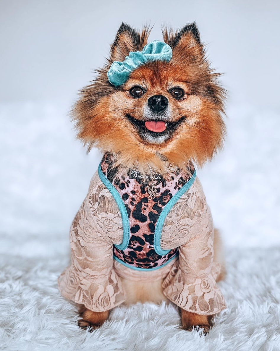 Exotic Reversible Harness