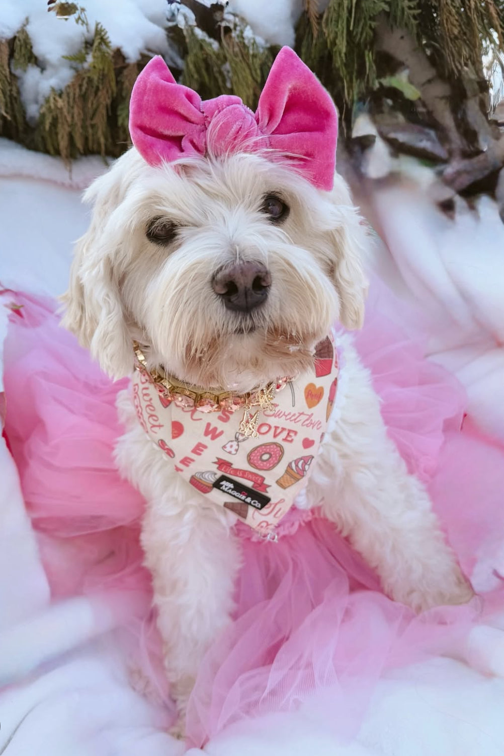 Bandana Set: Sweetie