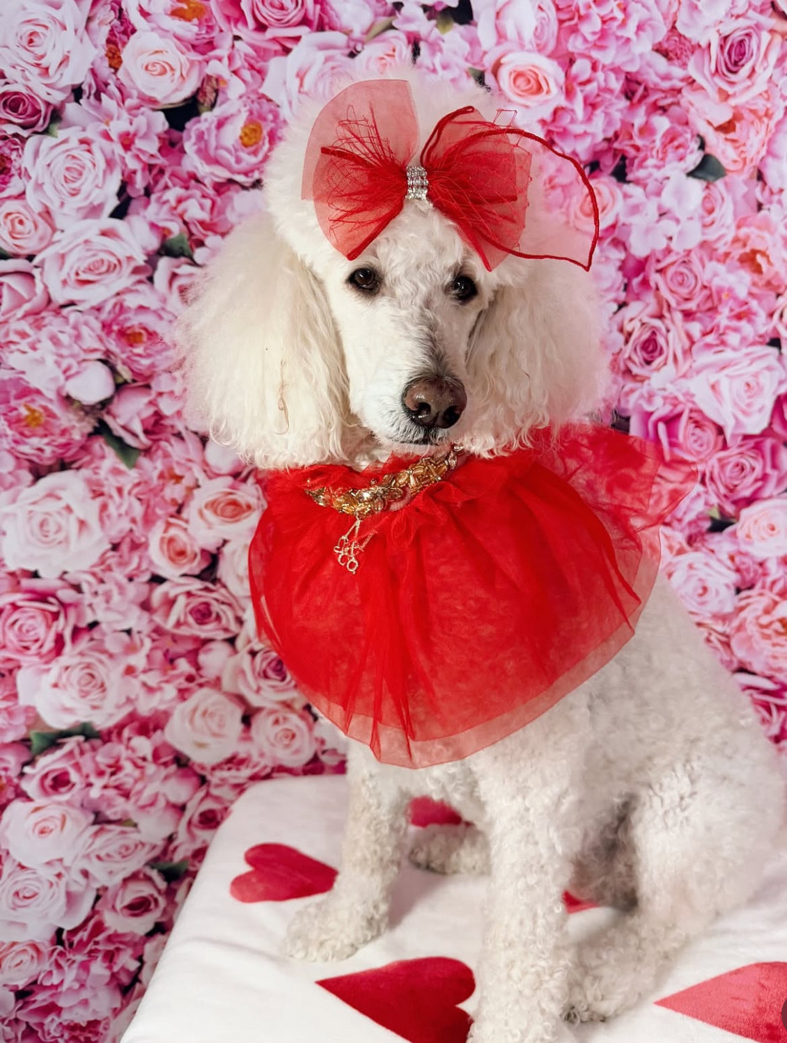 Royal Birthday: My Love