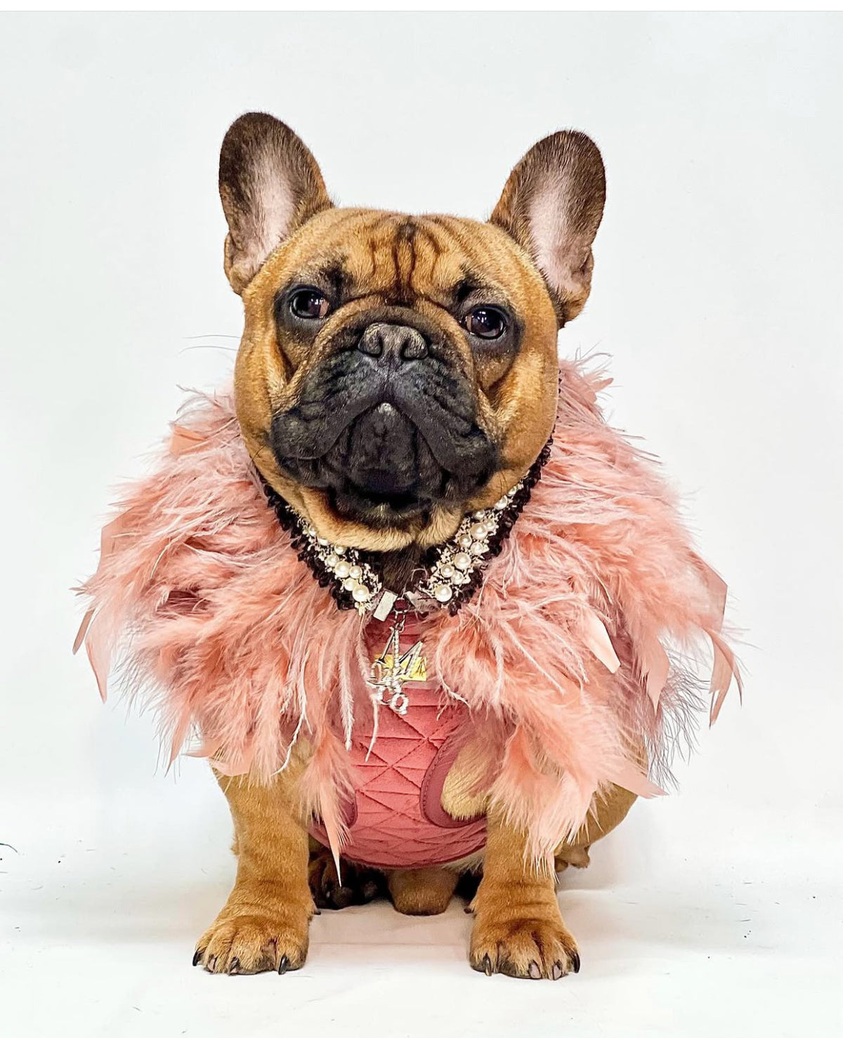 Haute Feathers Necklace: Affagato