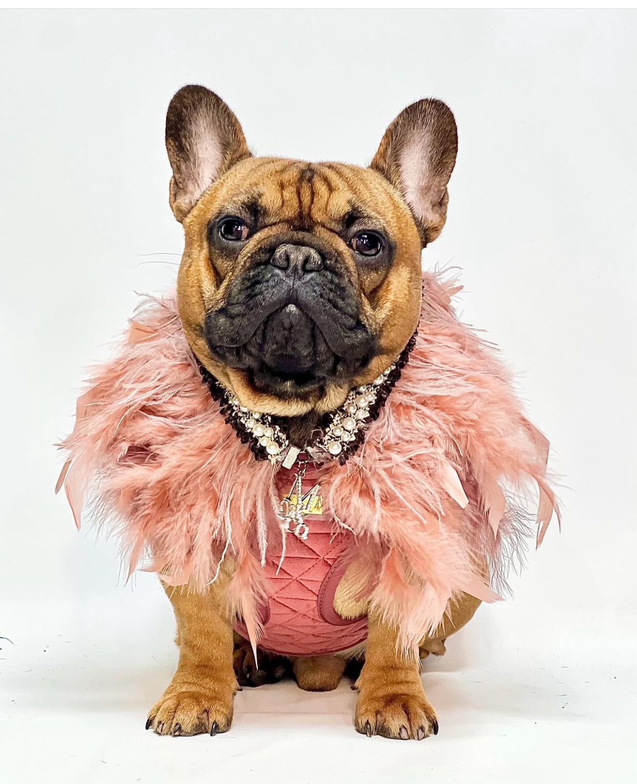 Haute Feathers Necklace: Affagato