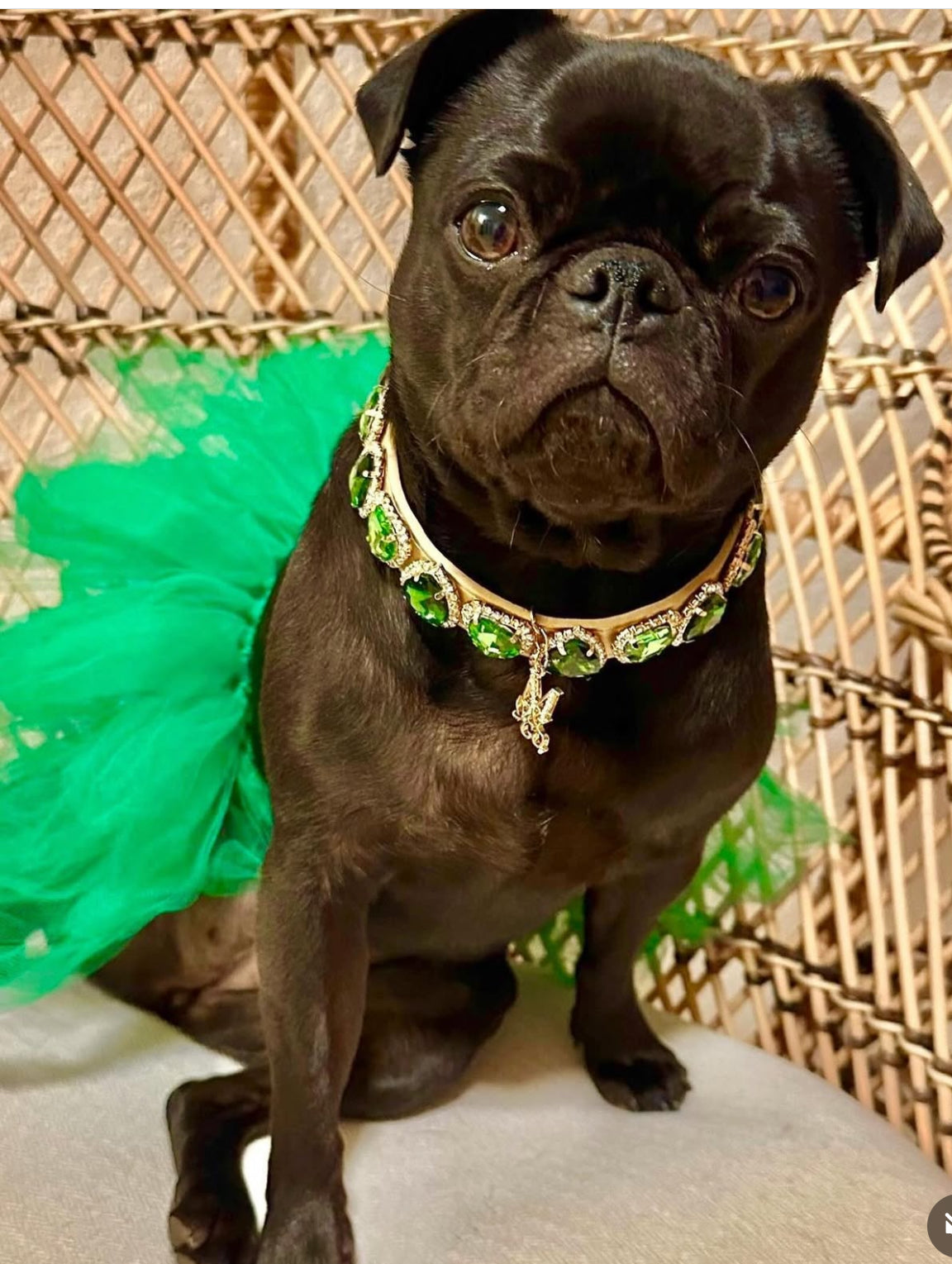 Cruise Gem Necklace II: Clover