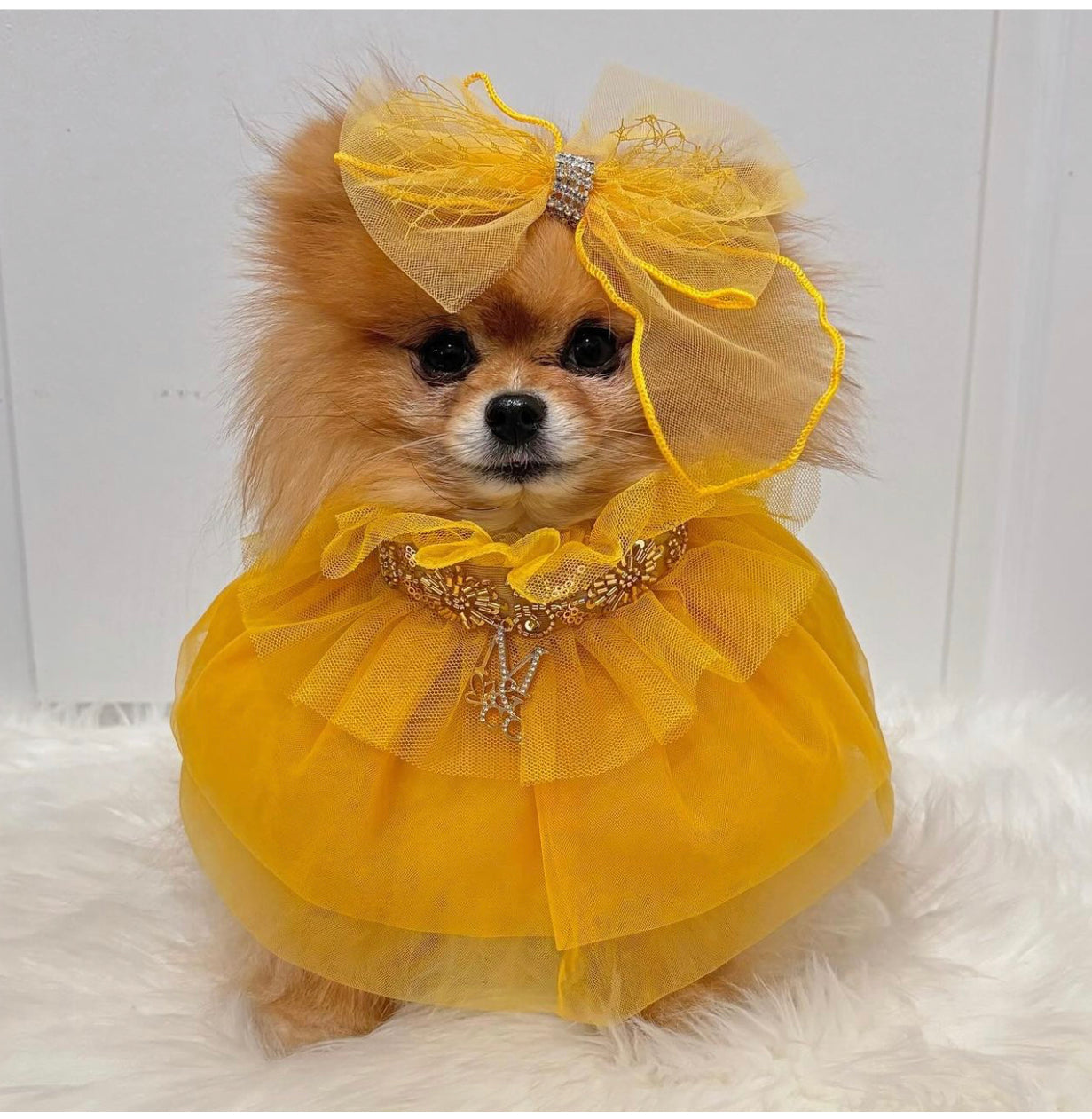 Holiday: All That Glitters Is Gold