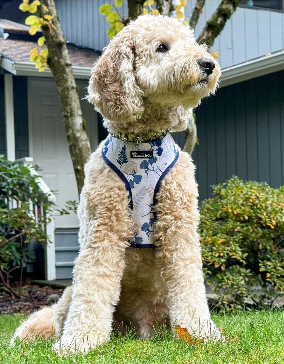 Breezy Reversible Harness