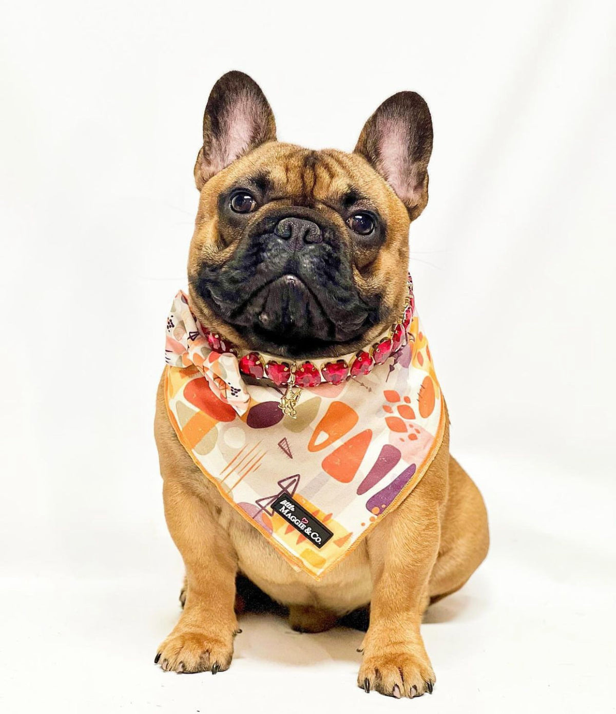 Bandana Set: Spicy