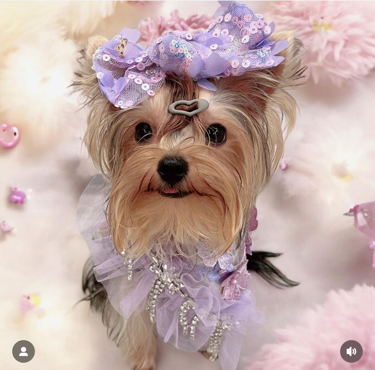 Formal Affair: Shades of Lavender