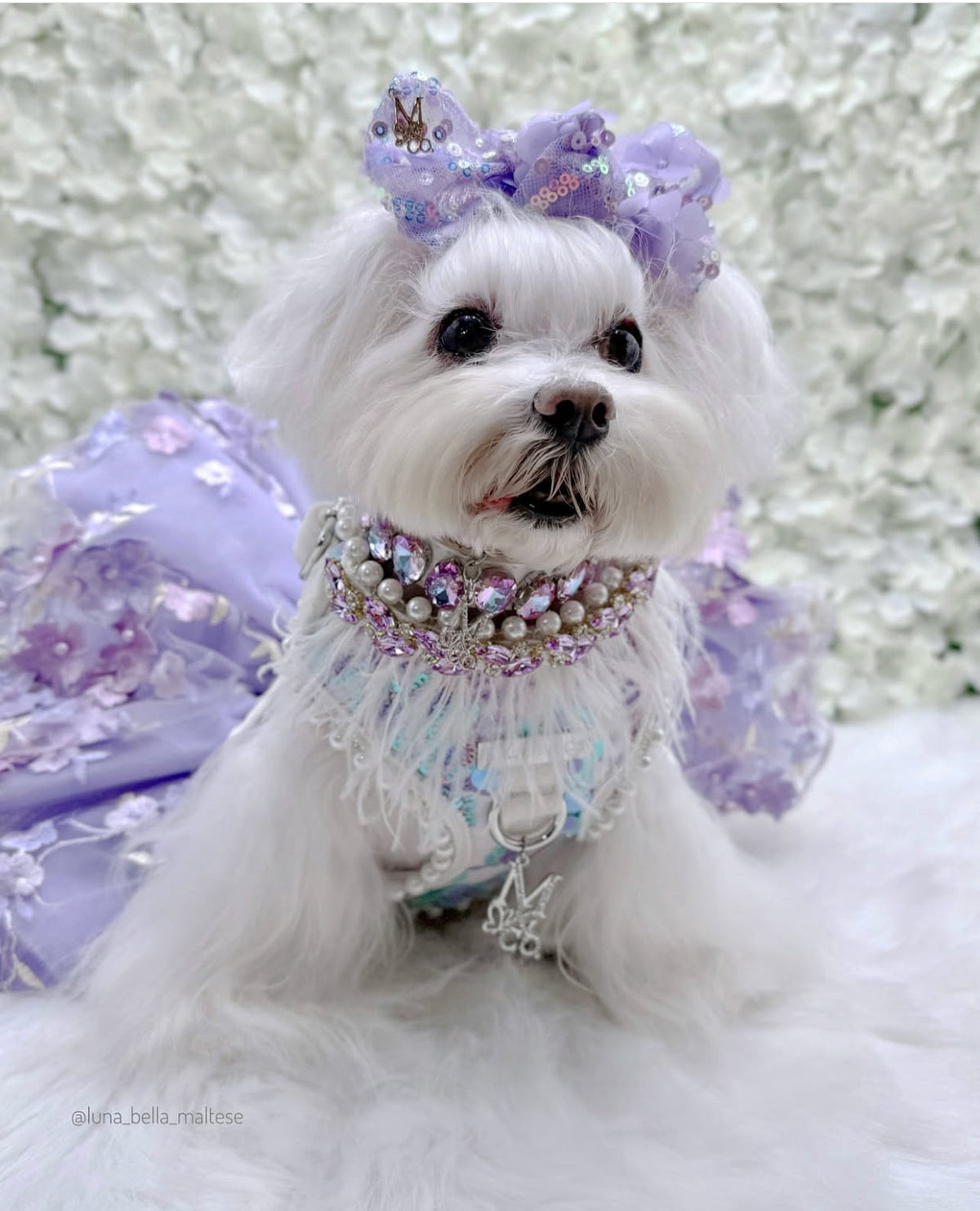 Shades of Lavender Tutu