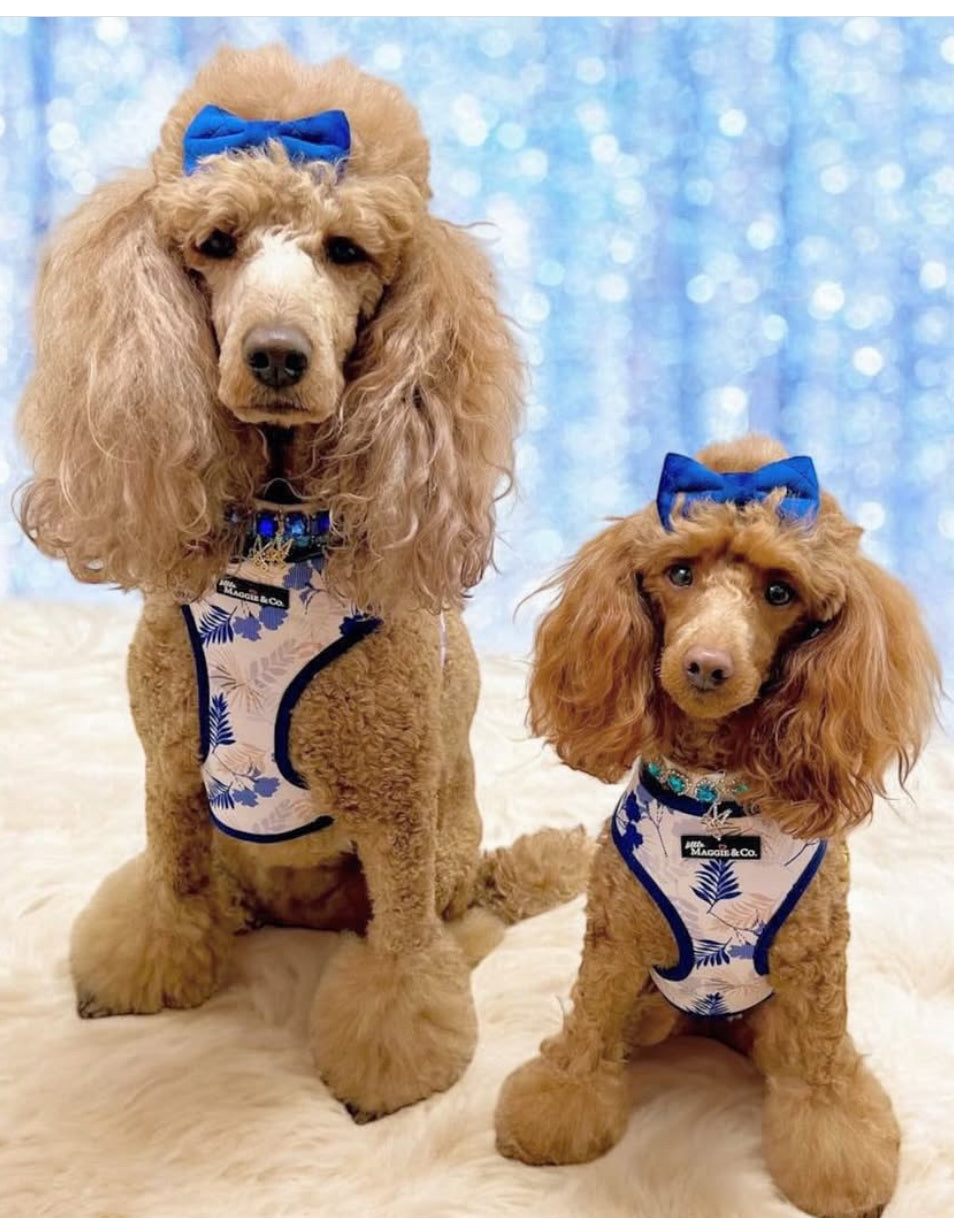 Breezy Reversible Harness