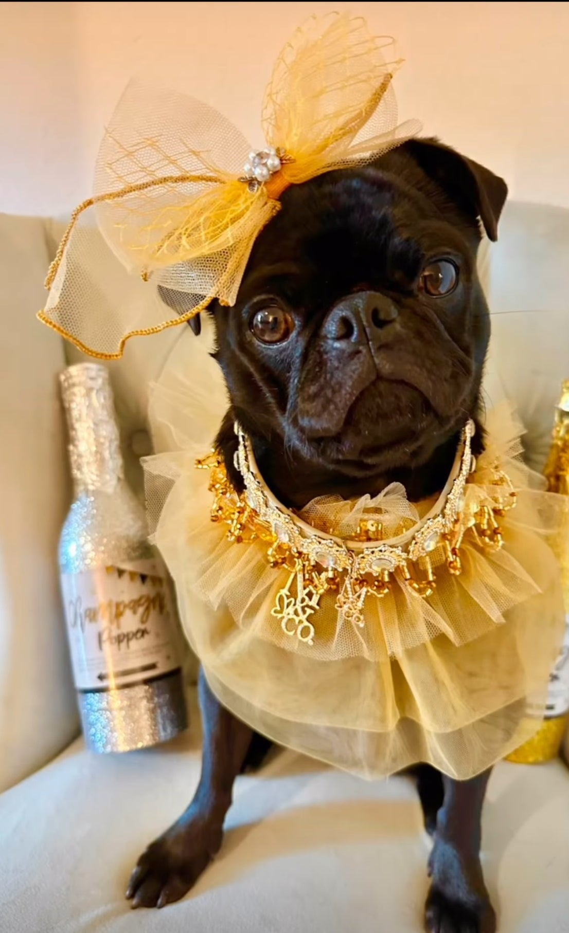 Signature: Golden Era