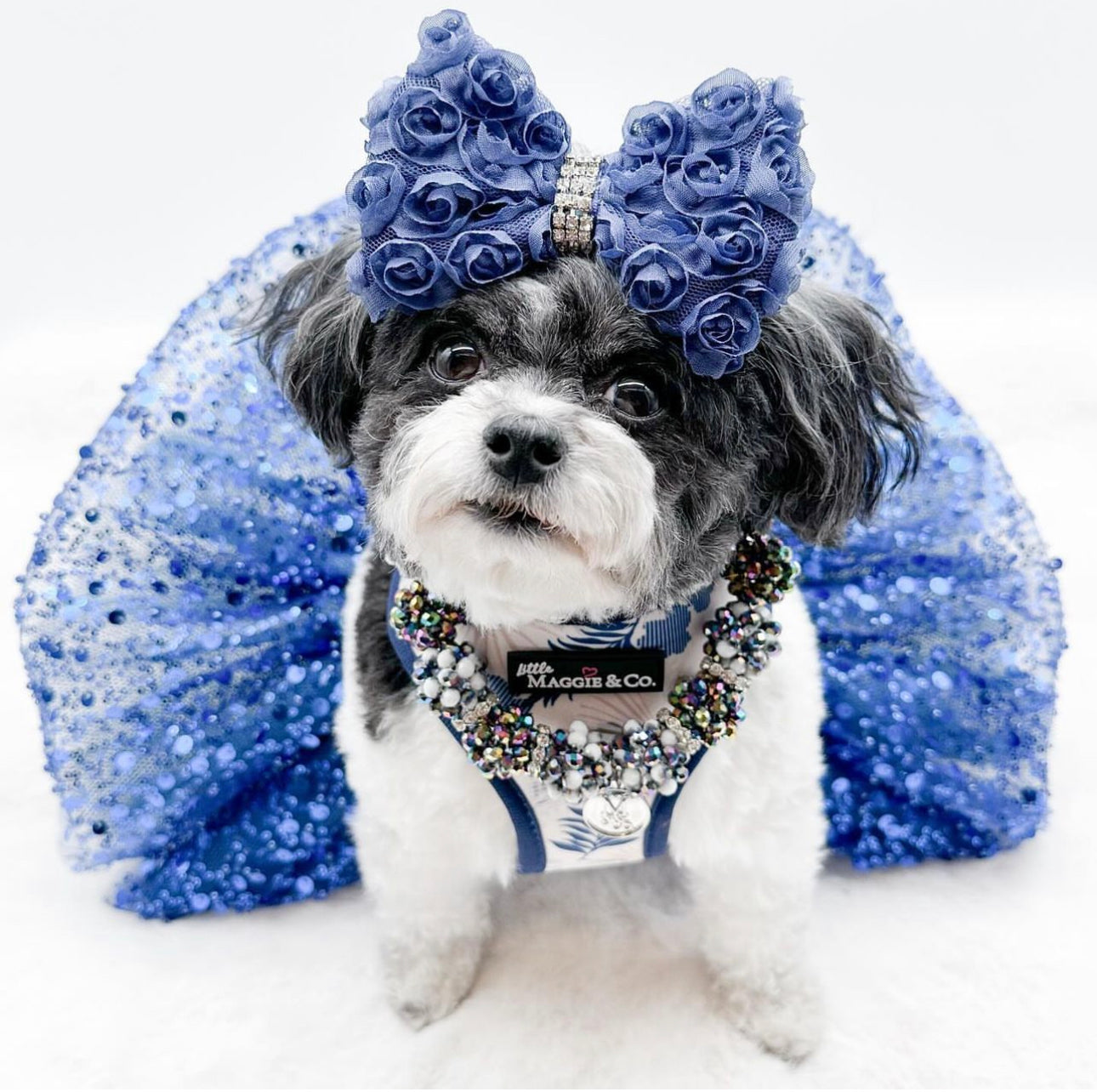 Necklace: Your Highness (Royal Birthday Collection)