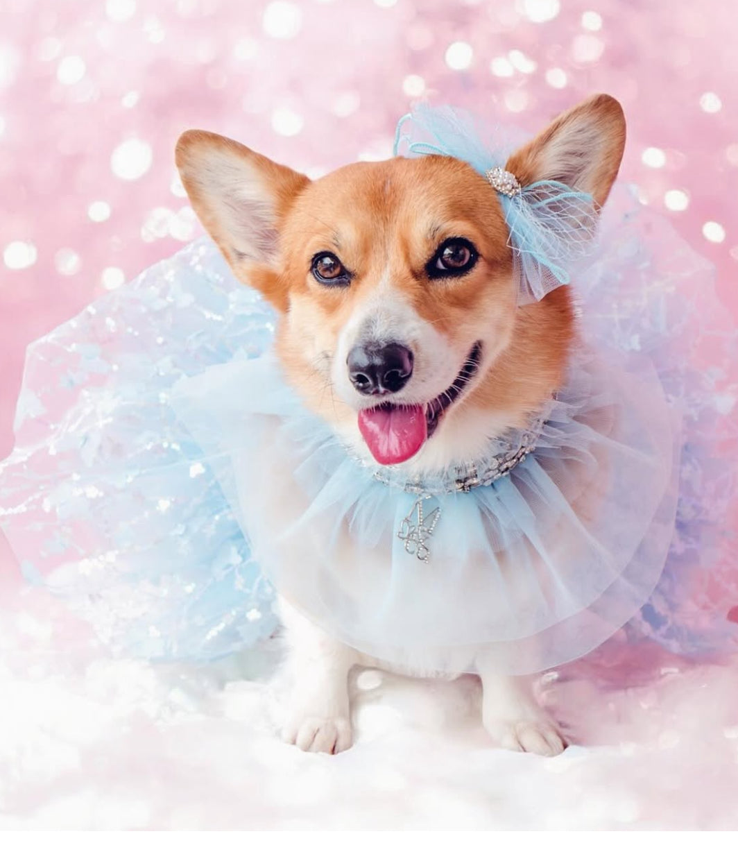 Signature: Winter Fairy