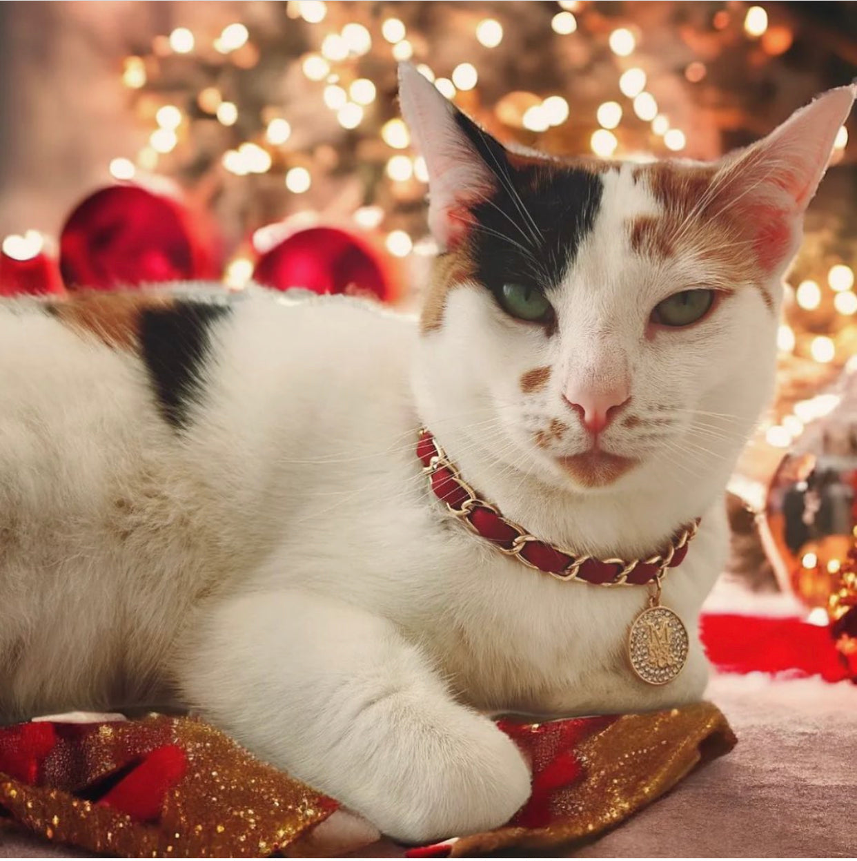 The Coco Necklace: Scarlet