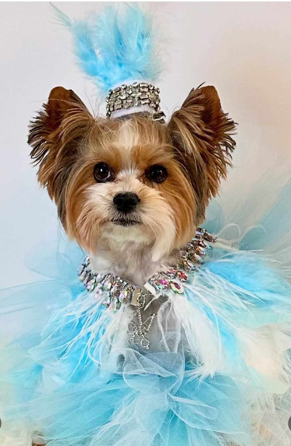 Fairytale Feathers: The Cinderella