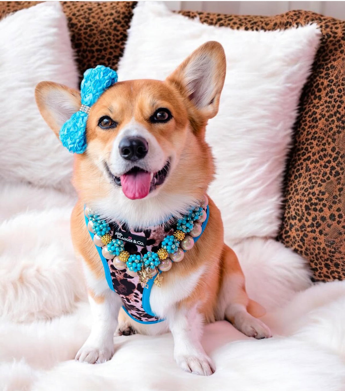 Necklace: The Odie