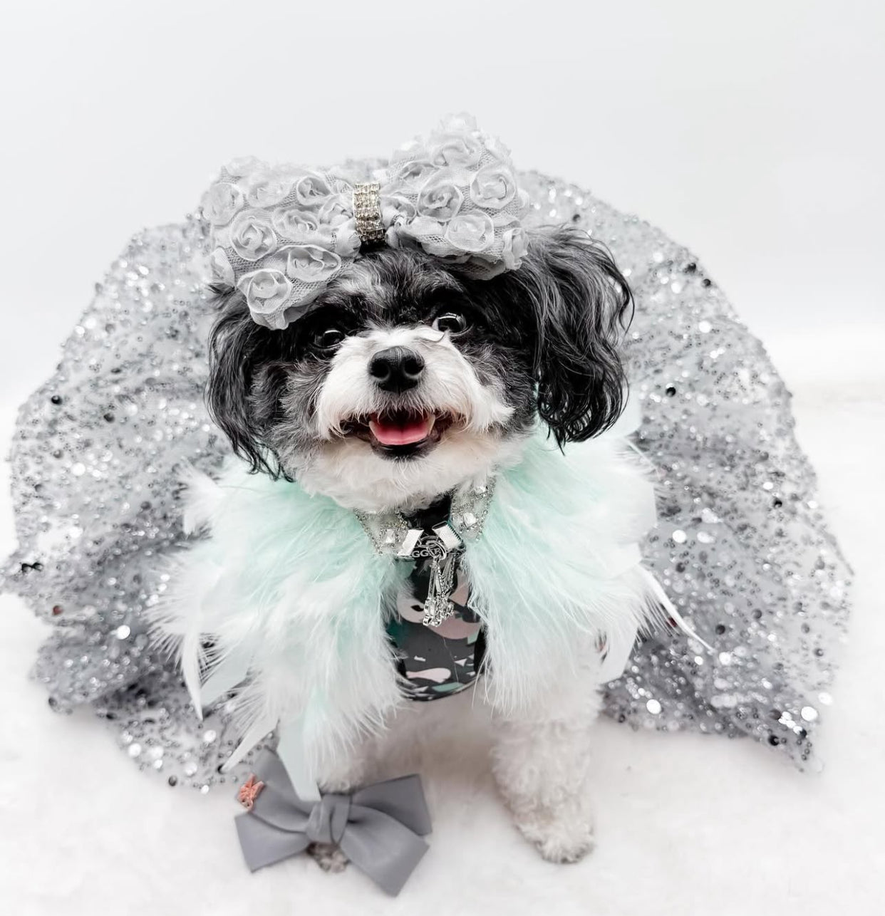 Fairytale Feathers: Prince Charming BB (pre-order)