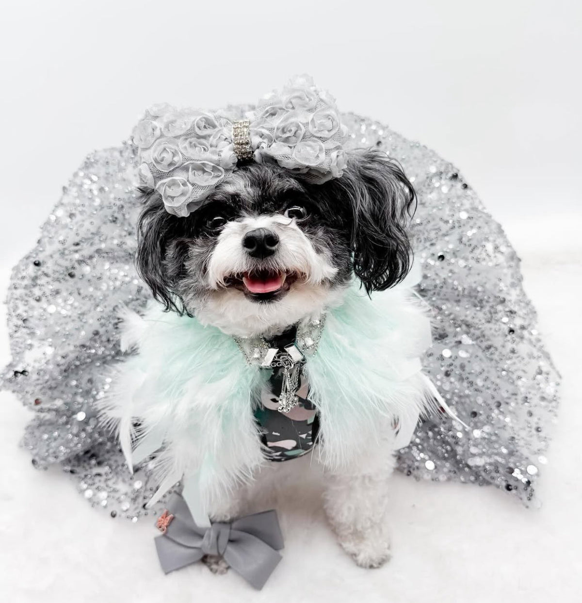 Fairytale Feathers: Prince Charming BB (pre-order)