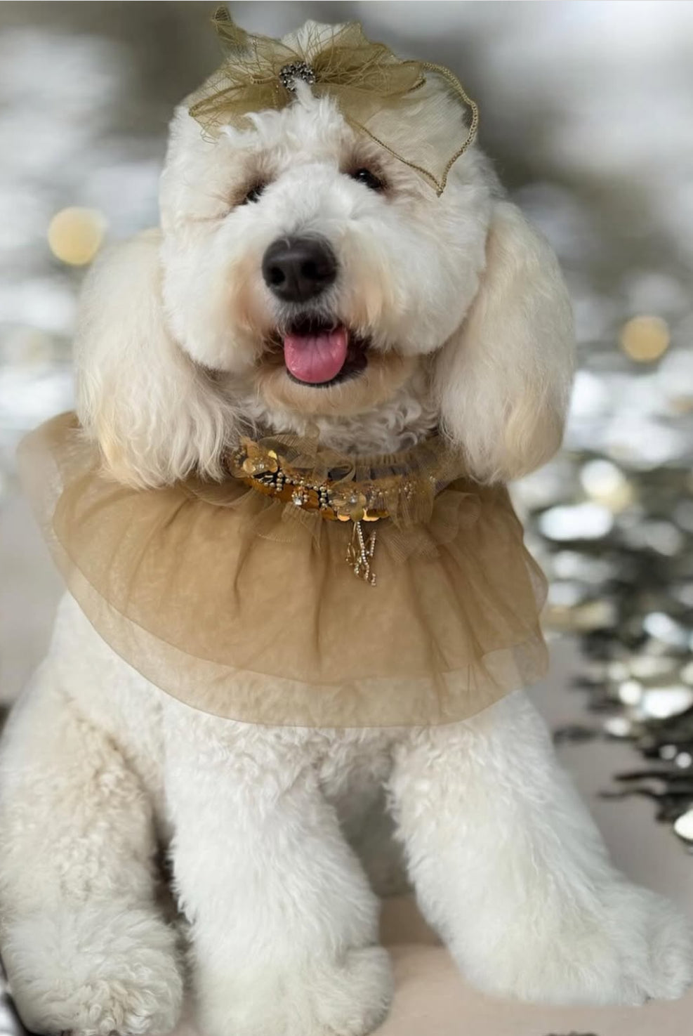 Signature: Amber Gold