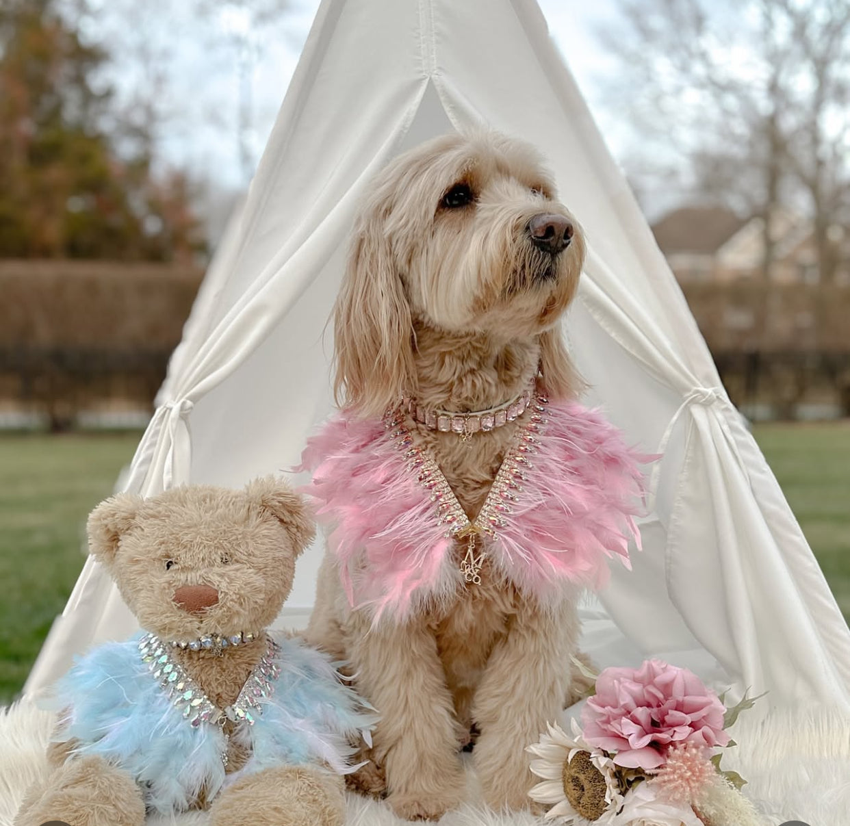 Fairytale Feathers: The Aurora