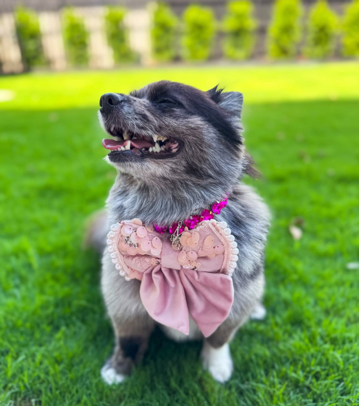 Gem Necklace: Barbie