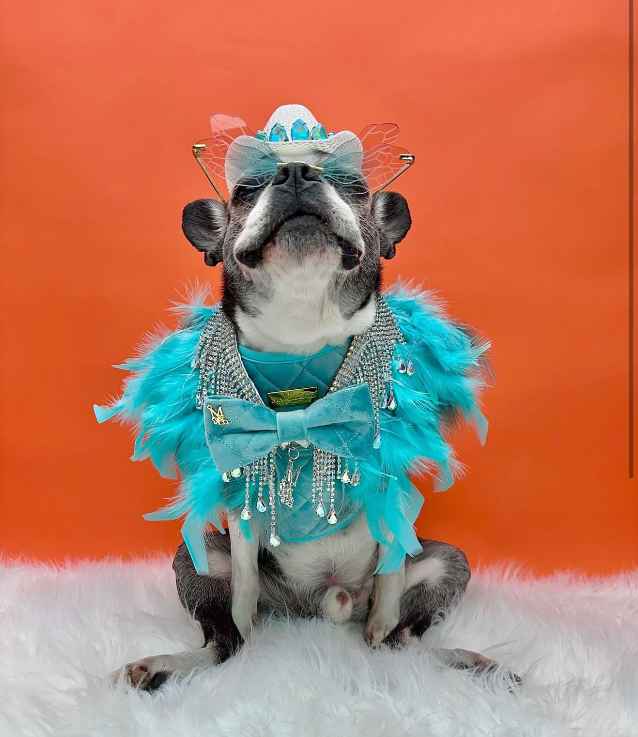 Fairytale Feathers: The Jasmine