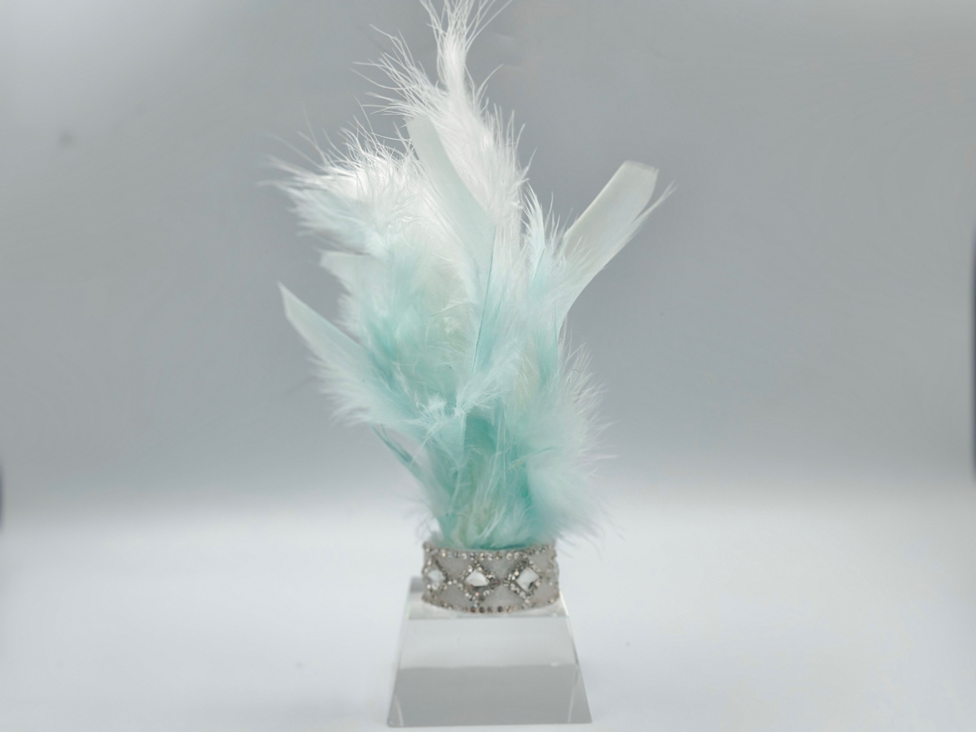 Fairytale Feathers: Prince Charming BB Crown