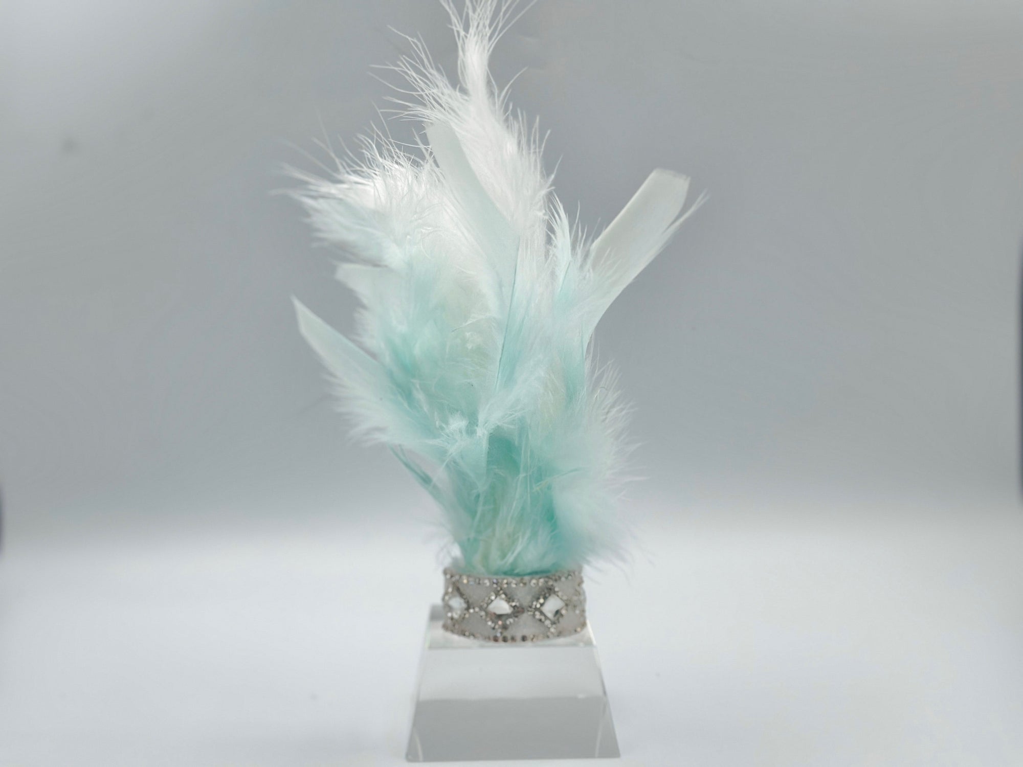 Fairytale Feathers: Prince Charming BB Crown