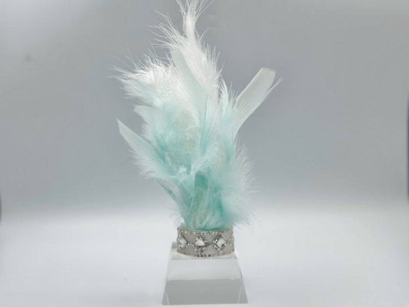 Fairytale Feathers: Prince Charming BB Crown