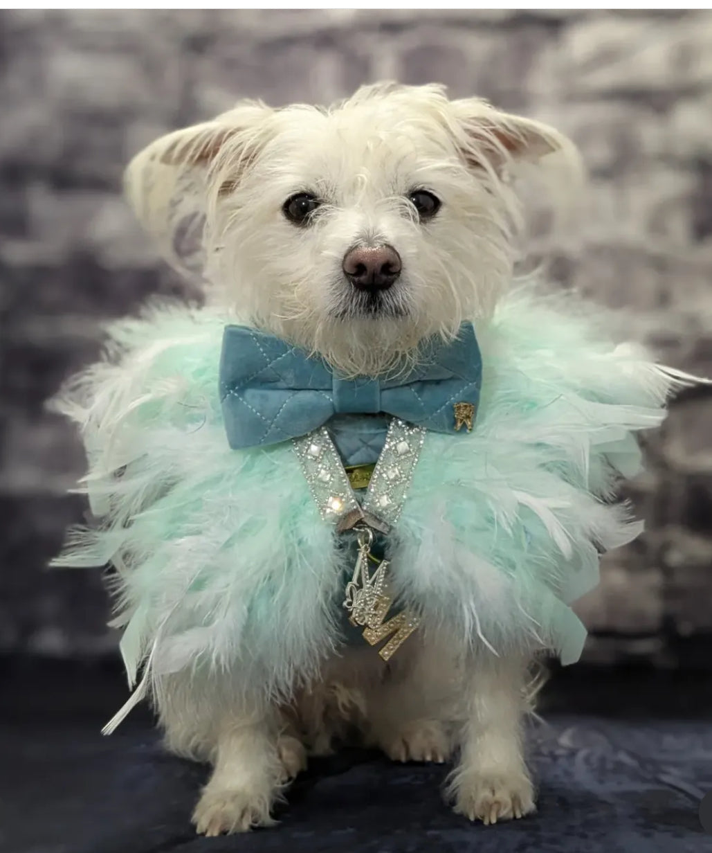 Fairytale Feathers: Prince Charming BB (pre-order)