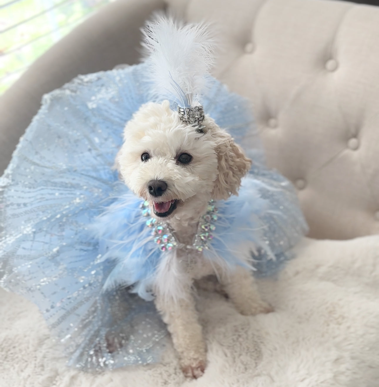 Fairytale Feathers: The Cinderella